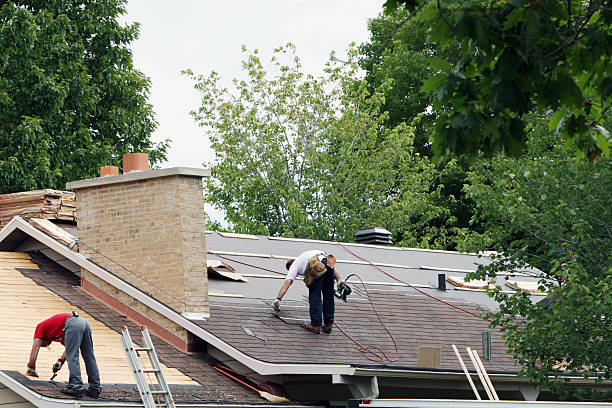 Best Metal Roofing Contractor  in Canon, GA
