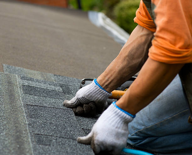 Best Roof Waterproofing Services  in Canon, GA